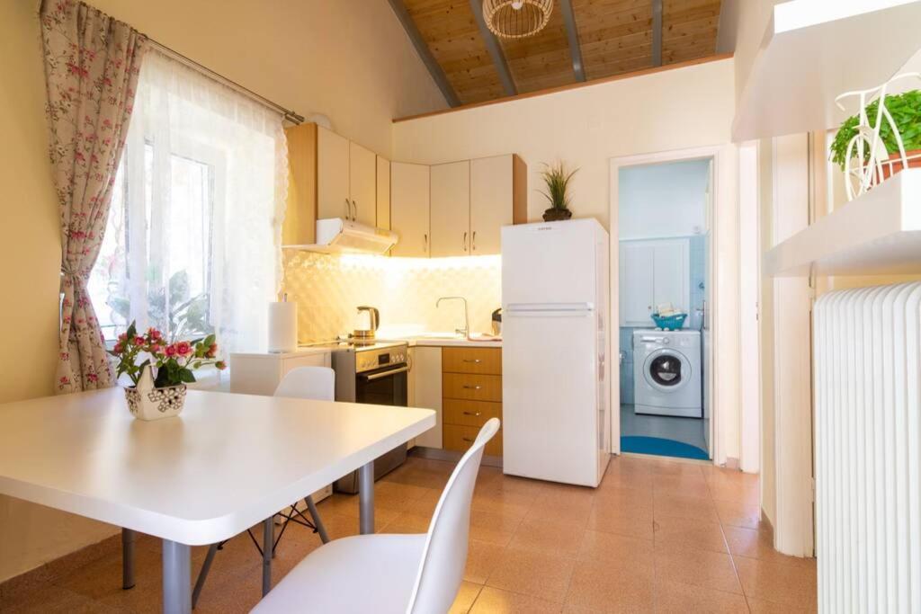 Thanos Cottage Vlachopoulátika Dış mekan fotoğraf
